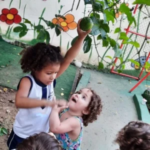 bercario-vila-prudente-escola-infantil-ensino-fundamental-menino-jesus-04